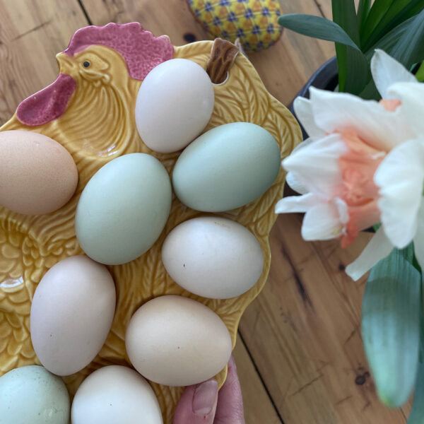 Ägg