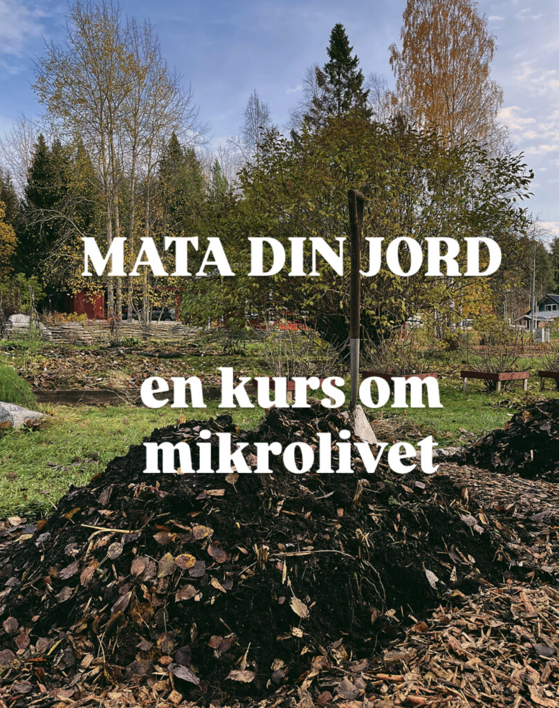 Mata din jord