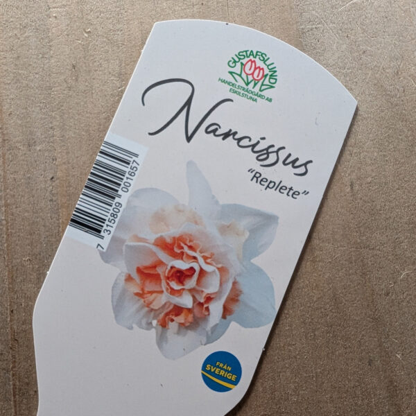 Narciss Replete