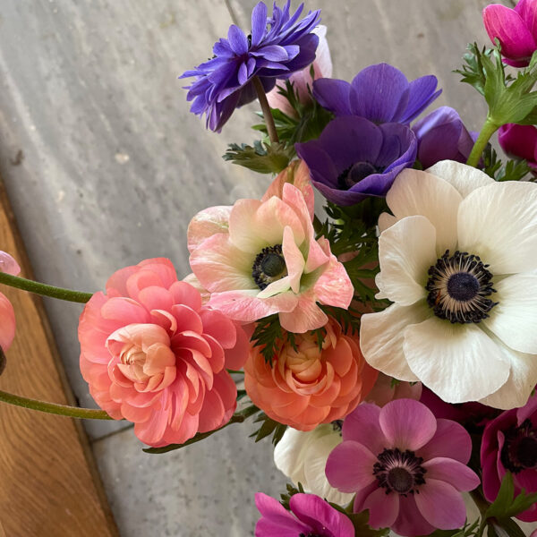 Ranunkler Anemoner