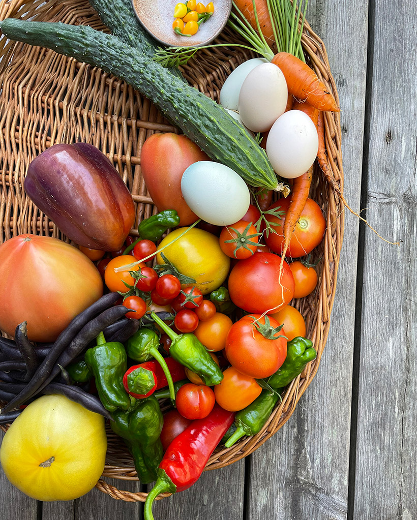 Kurs Konsten att odla mat