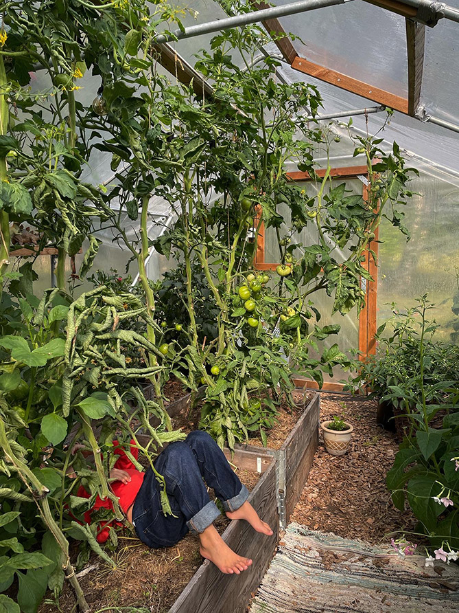 Kurs - Mata din jord - Växthus