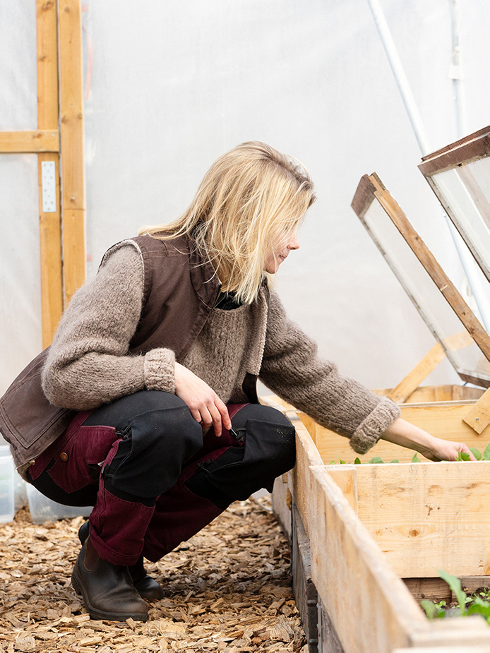 Kurs - Vinterodling - Drivbänk