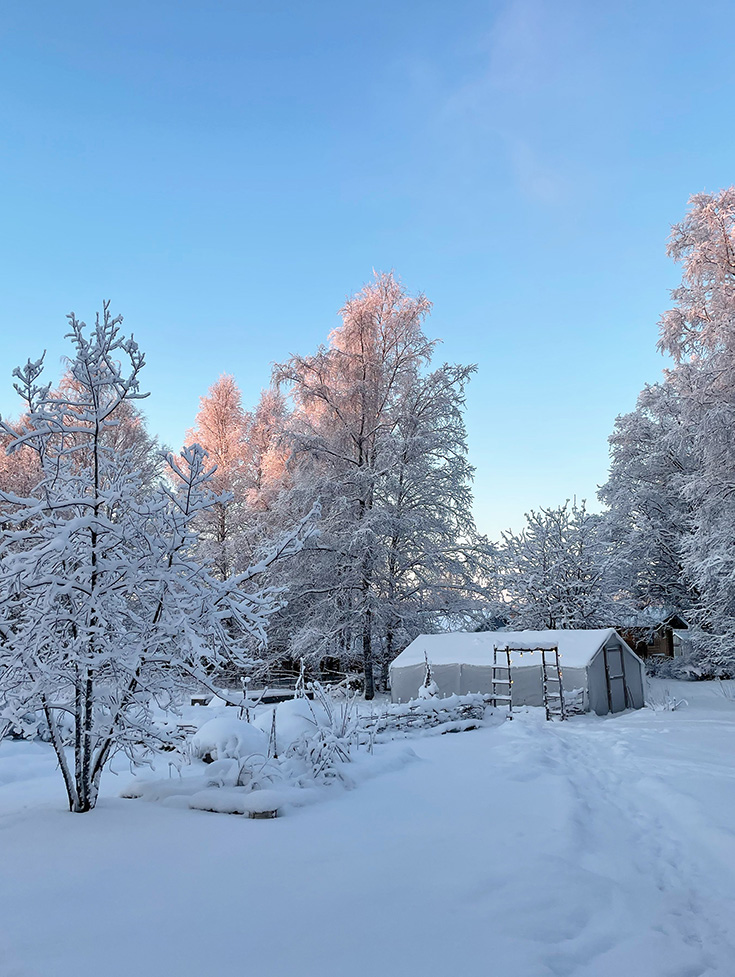 Kurs - Vinterodling - Växthus i snö