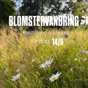 Blomstervandring Sofia Hagsand & Erica Rosendahl