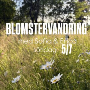 Blomstervandring