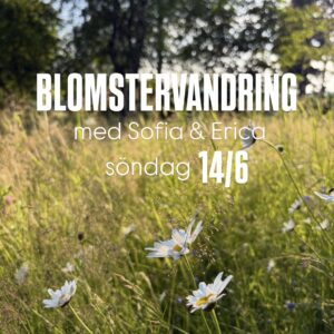 Blomstervandring